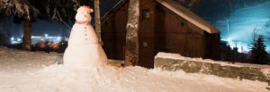 Budget and Luxury Hotels and Chalets - Chardons - Tignes les Brevieres