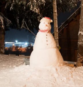 Budget and Luxury Hotels and Chalets - Chardons - Tignes les Brevieres
